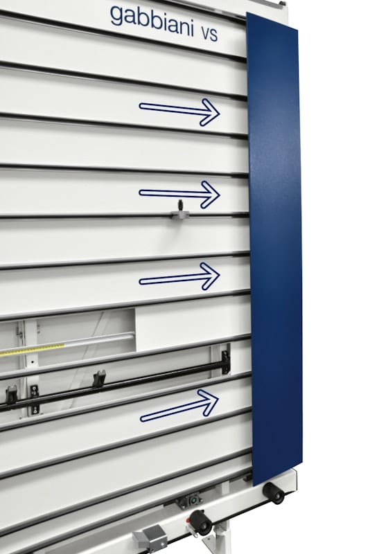 Gabbiani vs - Image 2